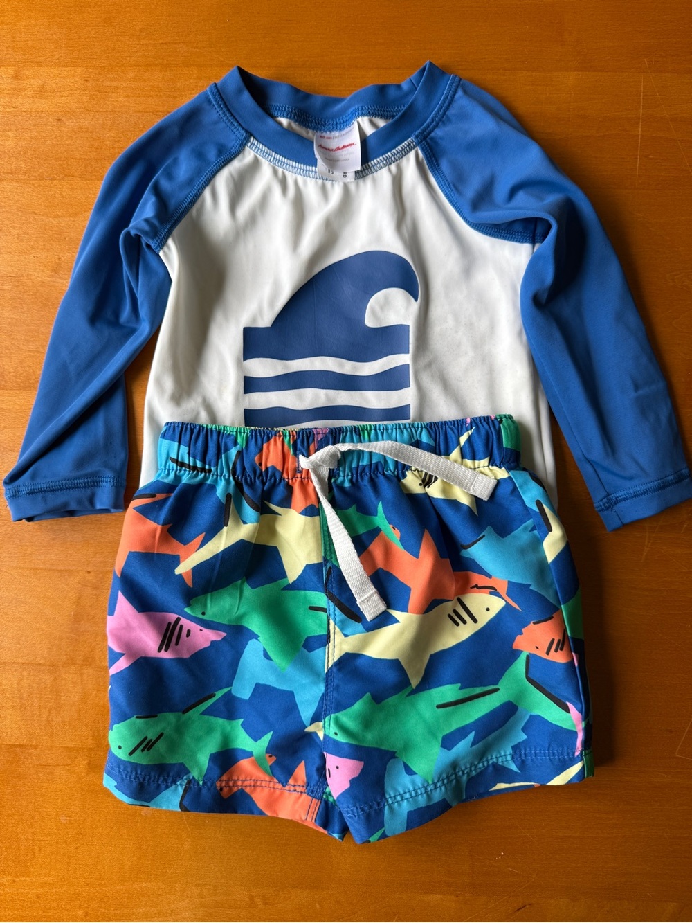 Hanna Andersson, Blue Rash Guard Set with Shark Print Swim Shorts, 18-24 Months